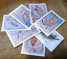 Load image into Gallery viewer, Set of 7 Turtle Quote Original Artwork Greetings Cards Handmade In Cornwall
