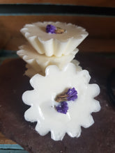 Load image into Gallery viewer, Ginseng Luxury Wax Tarts
