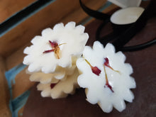 Load image into Gallery viewer, Magnolia and Cherry Luxury Wax Tarts
