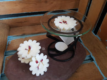 Load image into Gallery viewer, Magnolia and Cherry Luxury Wax Tarts
