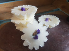 Load image into Gallery viewer, Ginseng Luxury Wax Tarts
